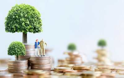 Reducing Income Taxes in Retirement