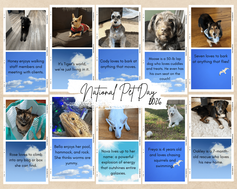Pet Week Celebrating National Pet Day (and the Pets Who Make Life Better) - EKS ...