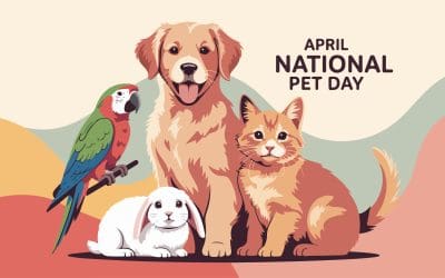 Celebrating National Pet Day (and the Pets Who Make Life Better)